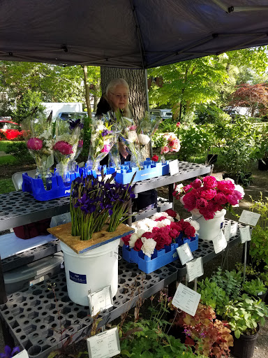 Produce Market «Douglass Loop Farmers Market», reviews and photos, 2005 Douglass Blvd, Louisville, KY 40205, USA