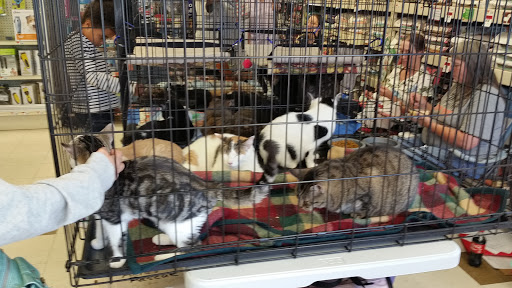 Pet Supply Store «Pet Supplies Plus», reviews and photos, 6030 S Pennsylvania Ave, Lansing, MI 48911, USA