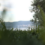 Photo n°1 de l'avis de Norberto.o fait le 02/09/2020 à 21:42 sur le  Villa della Pergola à Alassio