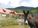 Ferme du Manou Steige