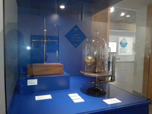 Asociación Ocho Vidas