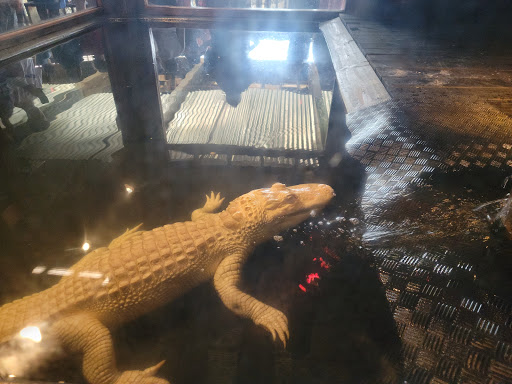 Restaurant «Fudpuckers Beachside Bar & Grill», reviews and photos, 20001 Emerald Coast Pkwy, Destin, FL 32541, USA