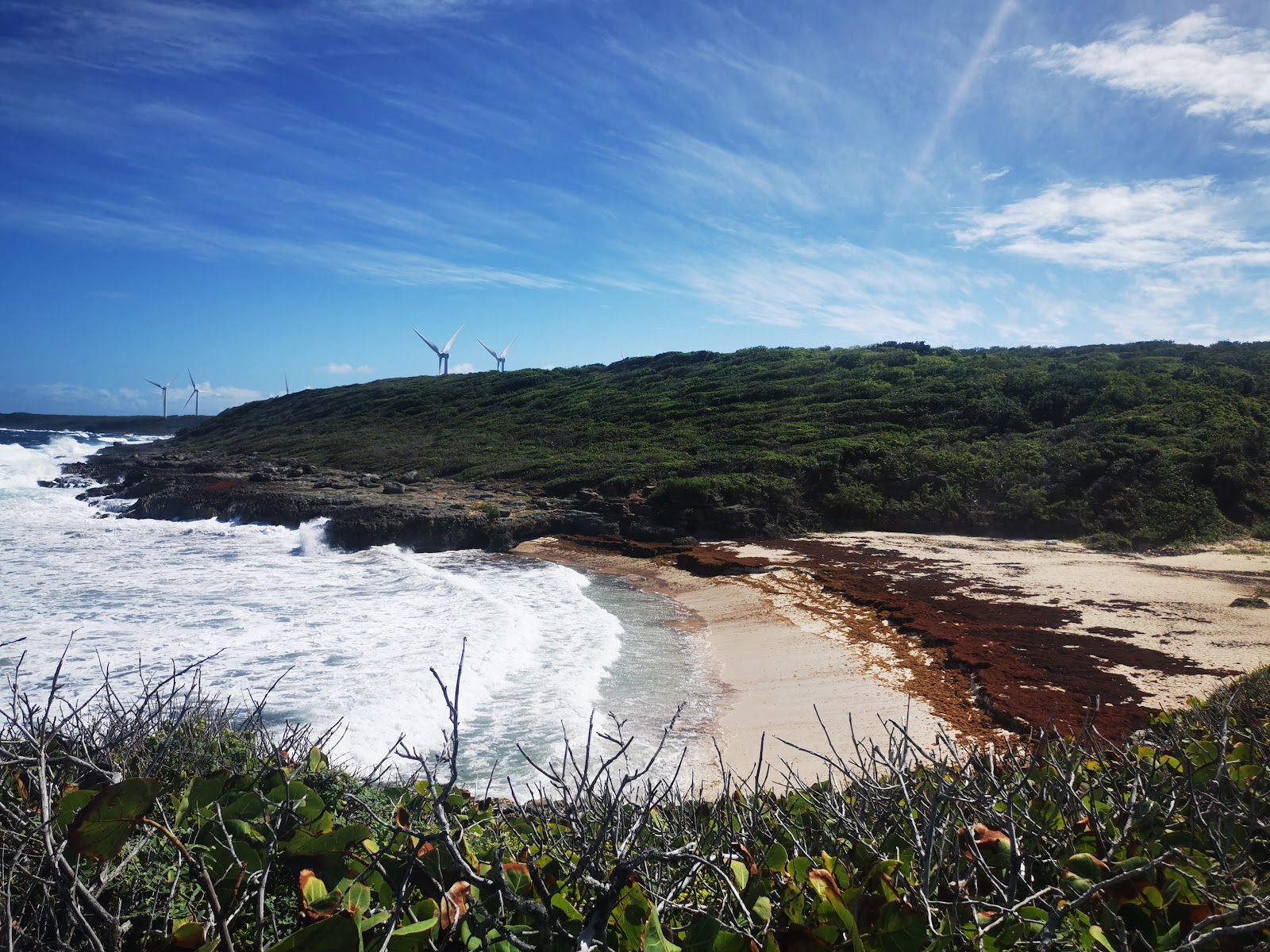 Photo de Plage des Rouleaux avec un niveau de propreté de sale