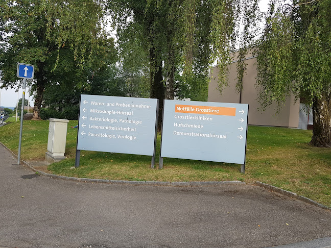 Rezensionen über kihz Tierspital in Zürich - Kindergarten
