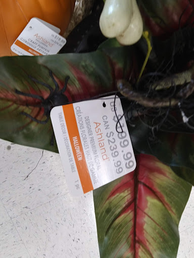 Craft Store «Michaels», reviews and photos, 7240 US-19, Pinellas Park, FL 33781, USA