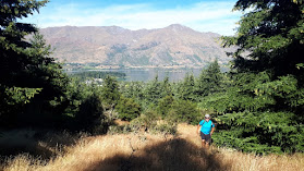 Wanaka NZ