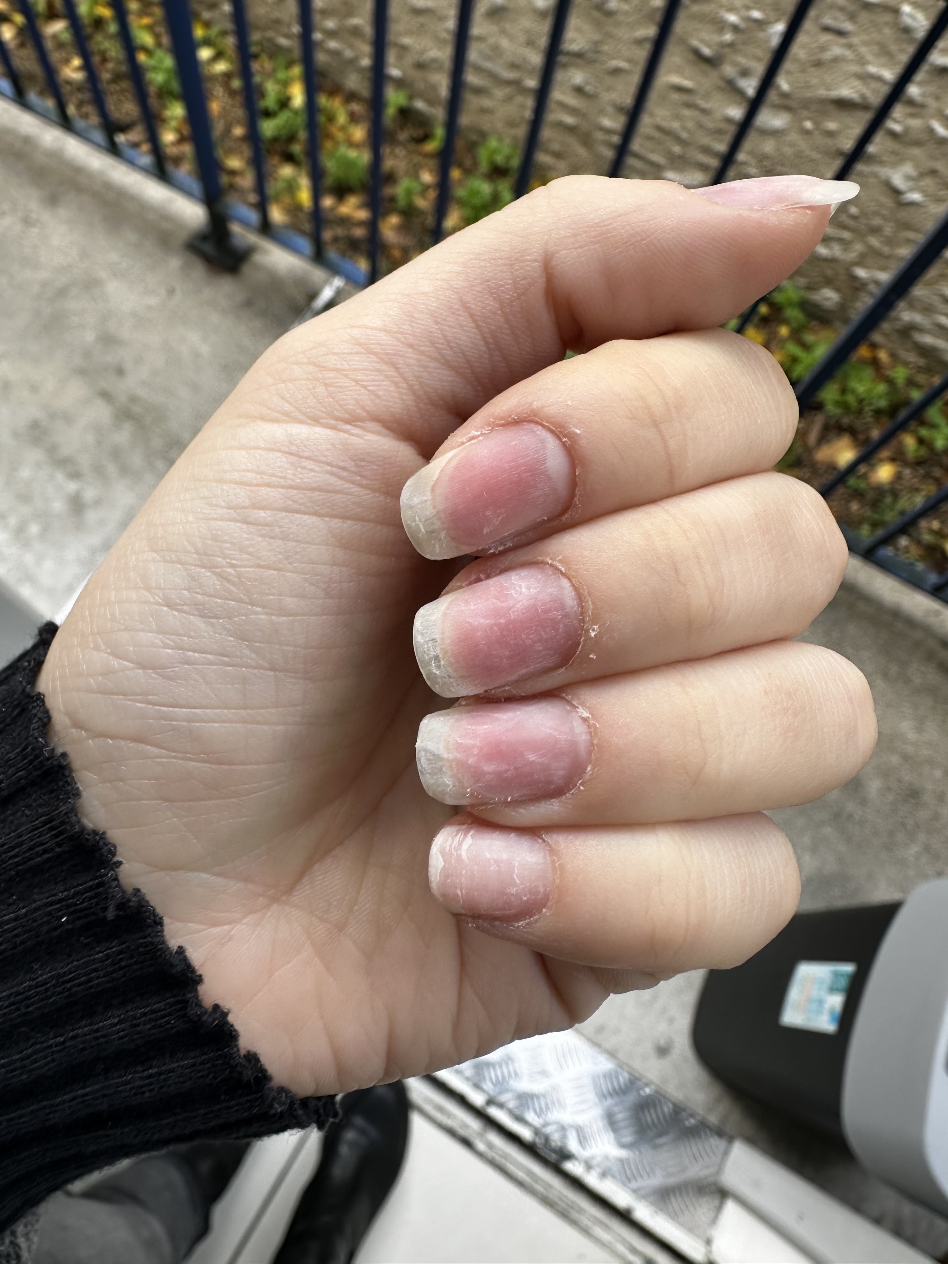 Photo n° 1 de l'avis de Meylina.a fait le 10/11/2023 à 16:06