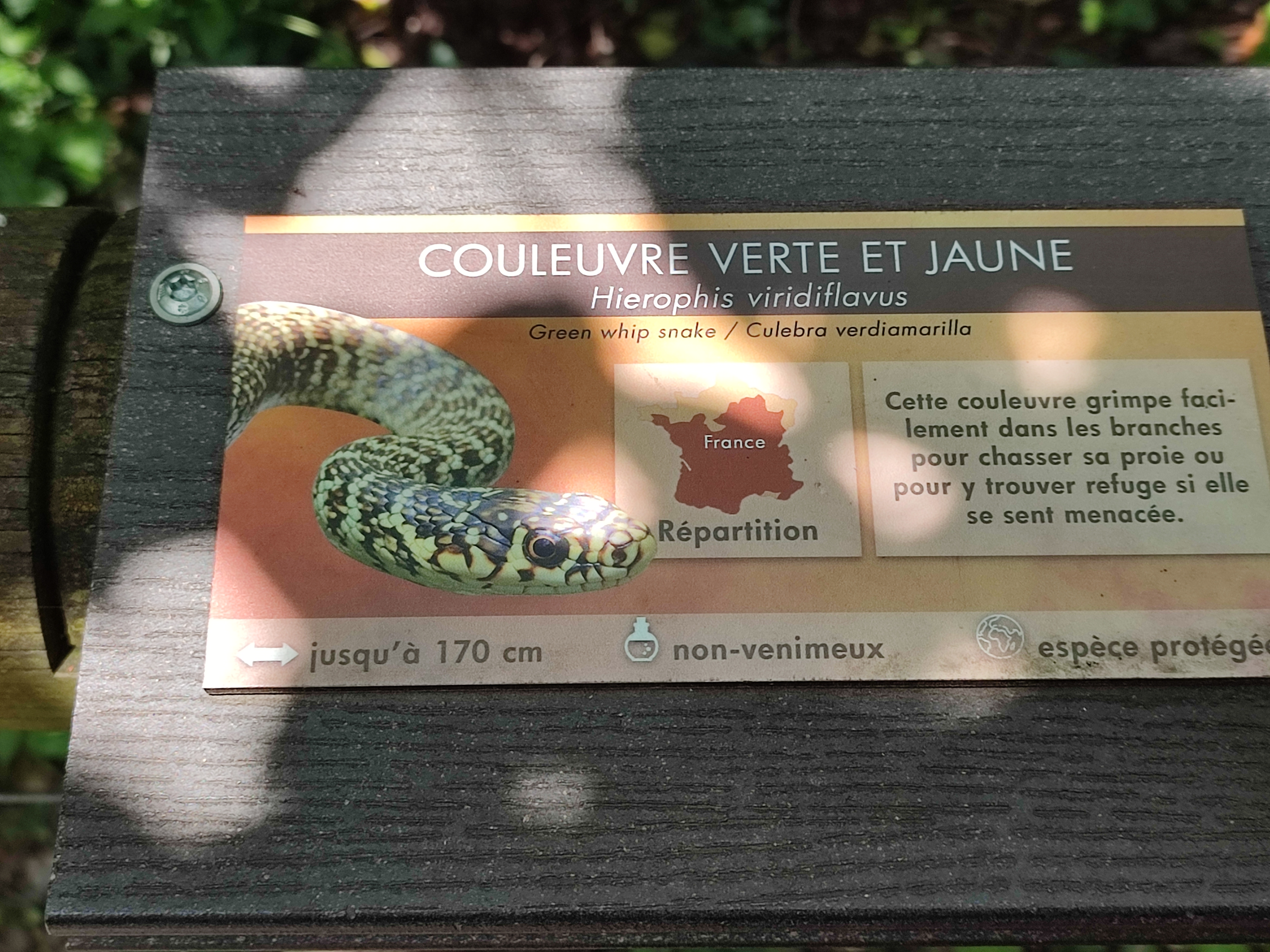 Photo n° 8 de l'avis de Julien.a fait le 02/06/2023 à 04:00