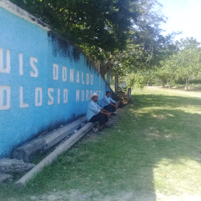 Unidad Deportiva Luis Donaldo Colosio - Unidad Deportiva, 43025 Orizatlán, Hidalgo, Mexico