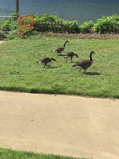 Water Park «Sandcastle Water Park», reviews and photos, 1000 Sandcastle Dr, Pittsburgh, PA 15120, USA