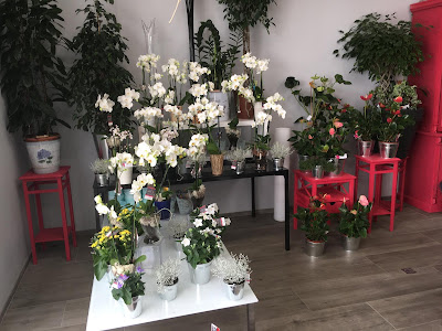 FLEURS D'Ô à Pertuis