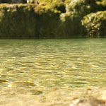 Photo n° 1 de l'avis de Florence.O fait le 17/08/2023 à 17:13 pour Jardin des Fontaines Pétrifiantes à La Sône