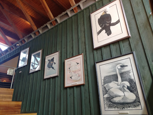 Nature Preserve «Tacoma Nature Center», reviews and photos, 1919 S Tyler St, Tacoma, WA 98405, USA