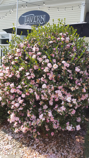 Golf Club «Towne Lake Hills Golf Club», reviews and photos, 1003 Towne Lake Hills E, Woodstock, GA 30189, USA