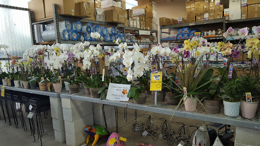 Home Improvement Store «The Home Depot», reviews and photos, 2508 Skyline Blvd, Cape Coral, FL 33914, USA