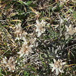 Photo n°1 de l'avis de Nico.o fait le 22/08/2022 à 13:15 sur le  Rifugio Grauson - 2510 m à Cogne