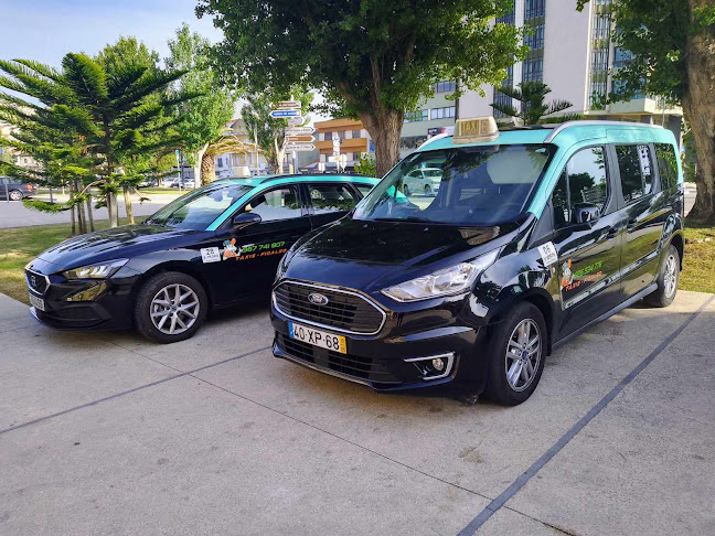 Taxis Fidalgo Praça Hospital Figueira da Foz Número de telefone