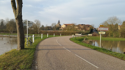 attractions Église Saint-Martin de Sillegny Sillegny