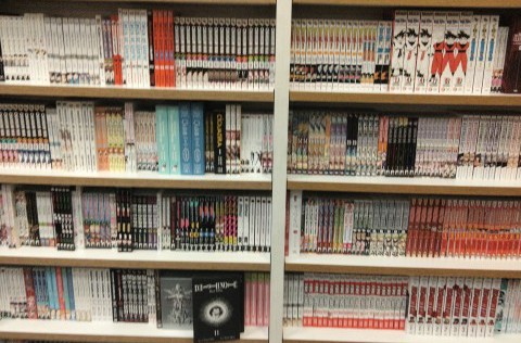 Book Store «Books-A-Million», reviews and photos, 6200 20th St #606, Vero Beach, FL 32966, USA