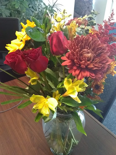 Restoration Outreach Programs