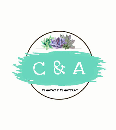 C&A Planteras y Suculentas