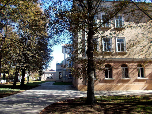 9500 Генерал Тошево