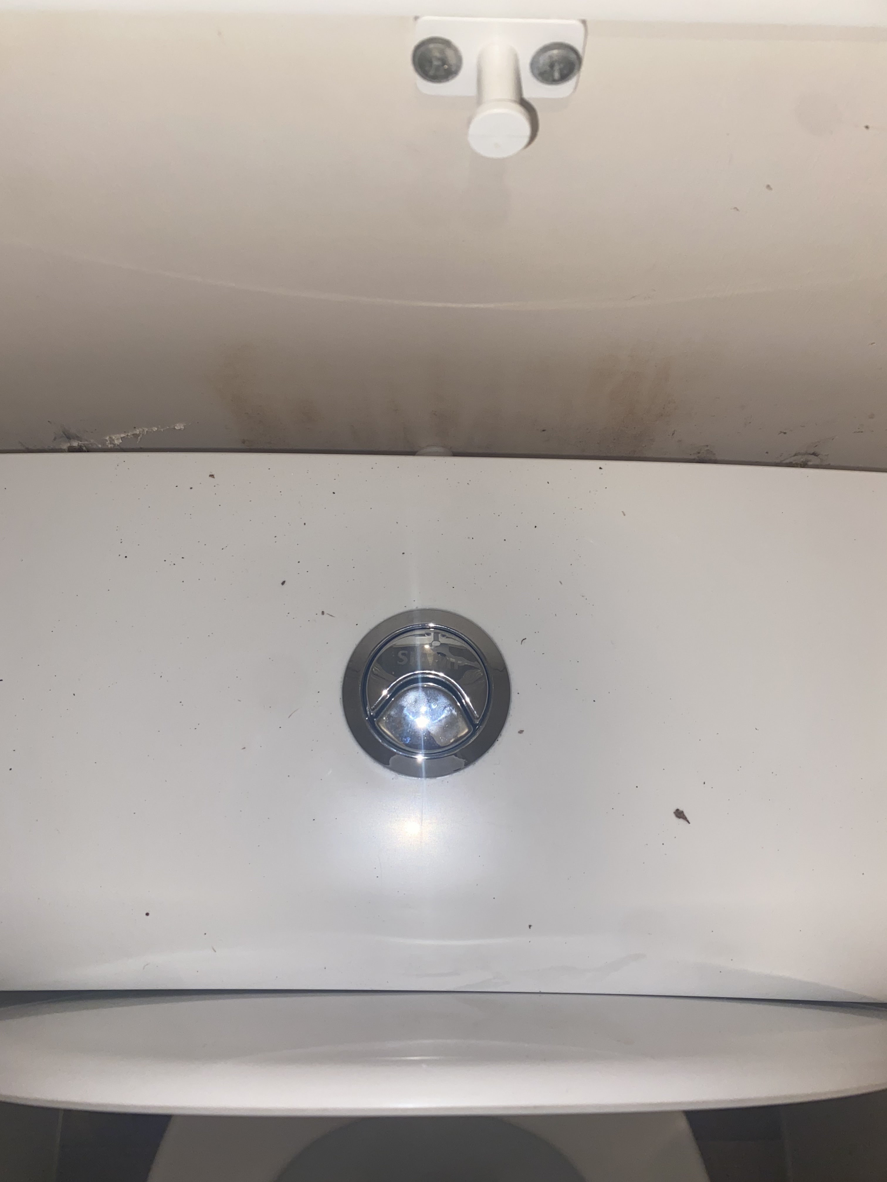 Photo n° 12 de l'avis de Ciissou.i fait le 29/07/2022 à 21:25