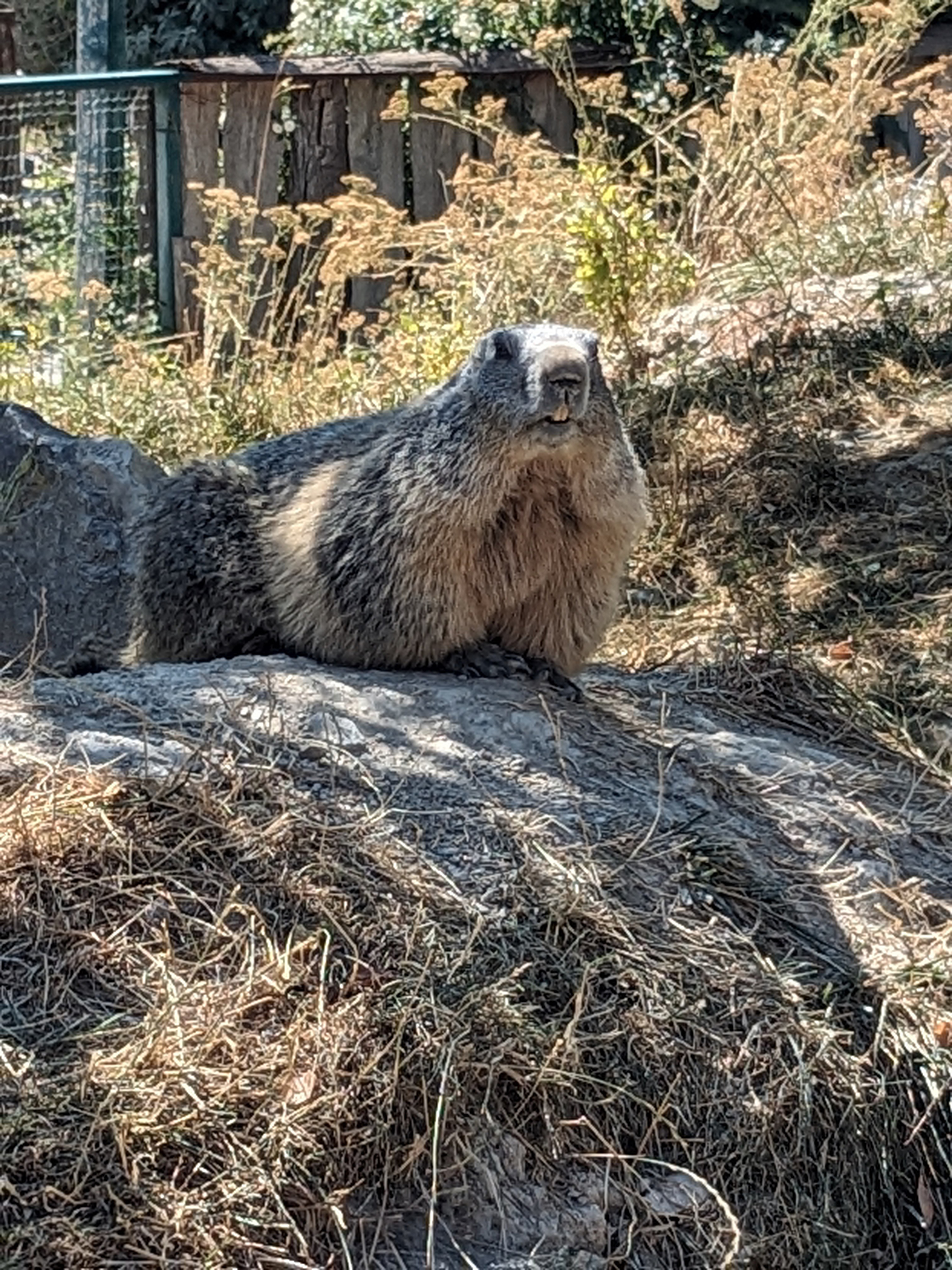 Photo n° 2 de l'avis de Alexandre. fait le 27/08/2023 à 06:34