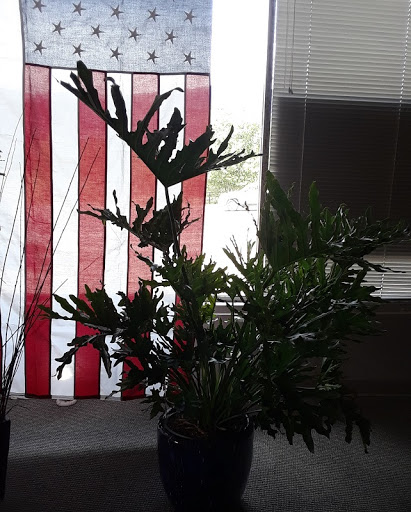 Florist «Skyway Creations», reviews and photos, 1407 S 8th St, Colorado Springs, CO 80905, USA