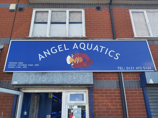 Angel Aquatics