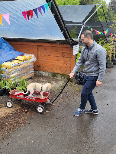 Florist «Milwaukie Floral and Garden», reviews and photos, 3306 SE Lake Rd, Milwaukie, OR 97222, USA