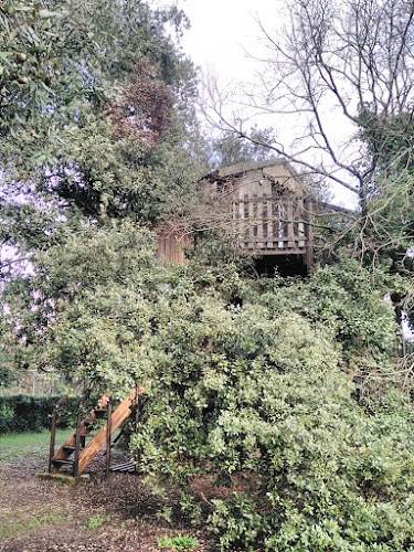 La cabane de Lys perchée dans les arbres - nuit insolite à Argelliers