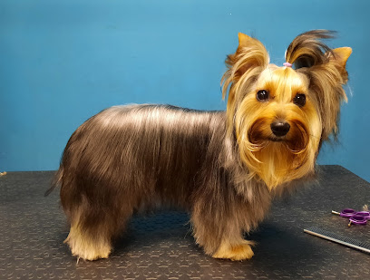 Imagen de Mis Colegas