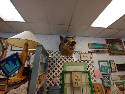 Flea Market «Fort Walton Beach Flea Market», reviews and photos, 125 Eglin Pkwy SE, Fort Walton Beach, FL 32548, USA