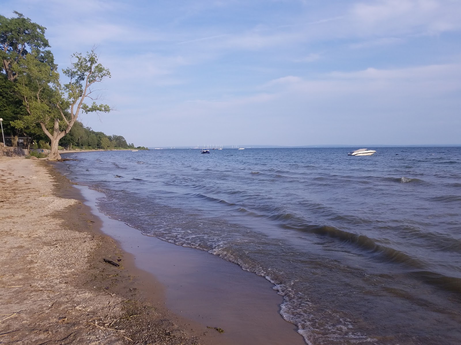 Fotografie cu Crescent Beach - locul popular printre cunoscătorii de relaxare