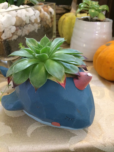 Florist «1-800-flowers 4 Gift Seattle», reviews and photos, 300 15th Ave E, Seattle, WA 98112, USA