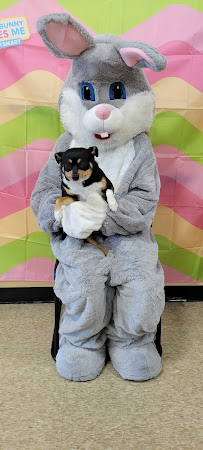 PetSmart - Photo 4 - Car repair in Shelby, NC, Gastonia