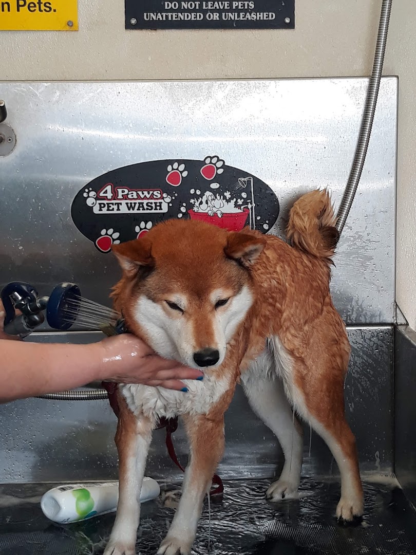 Self-service dog wash