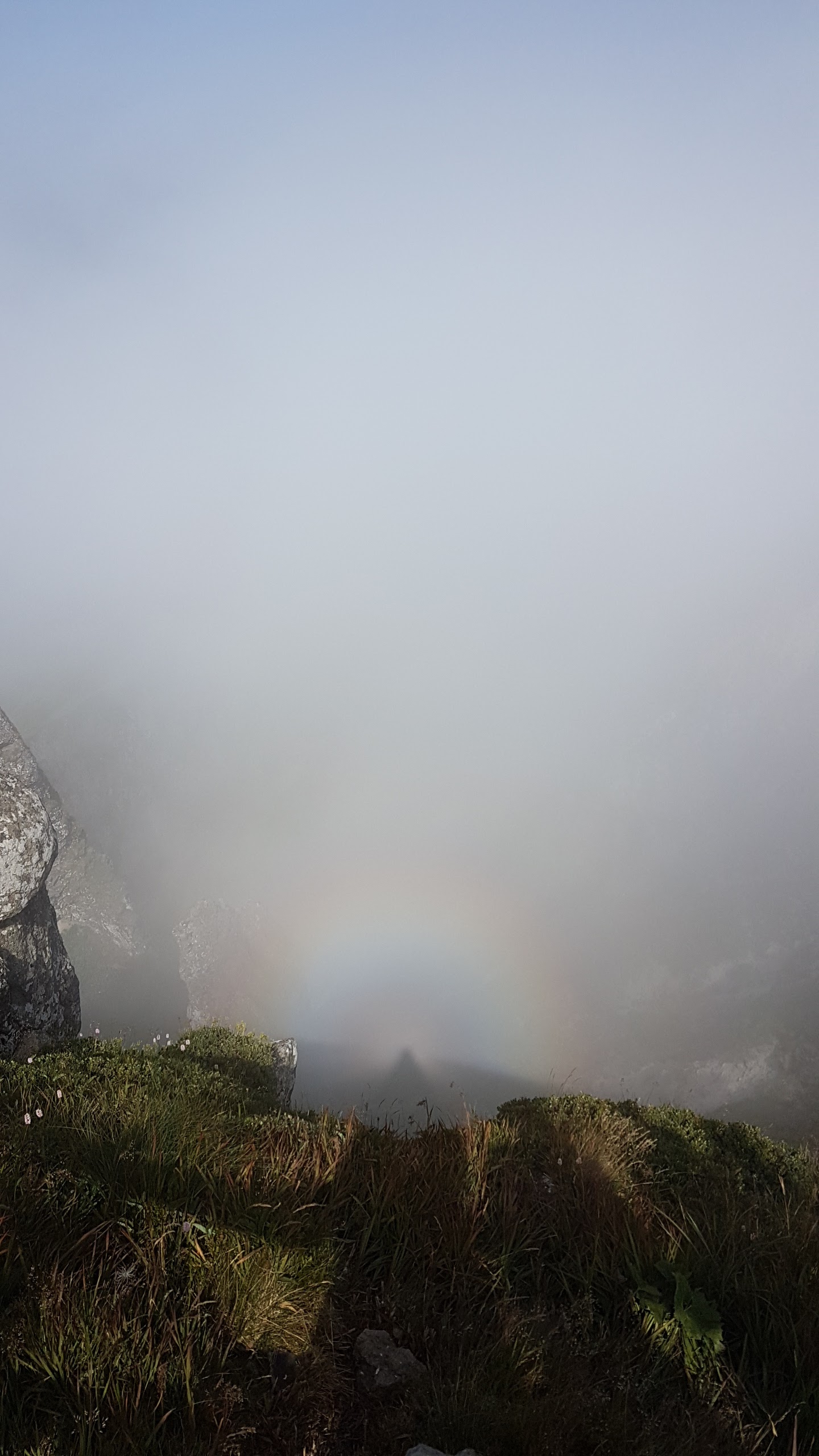 Photo n° 25 de l'avis de Catherine.R fait le 09/08/2019 à 17:54