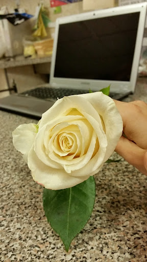 Florist «Flowers by Emil», reviews and photos, 7305 18th Ave, Brooklyn, NY 11204, USA