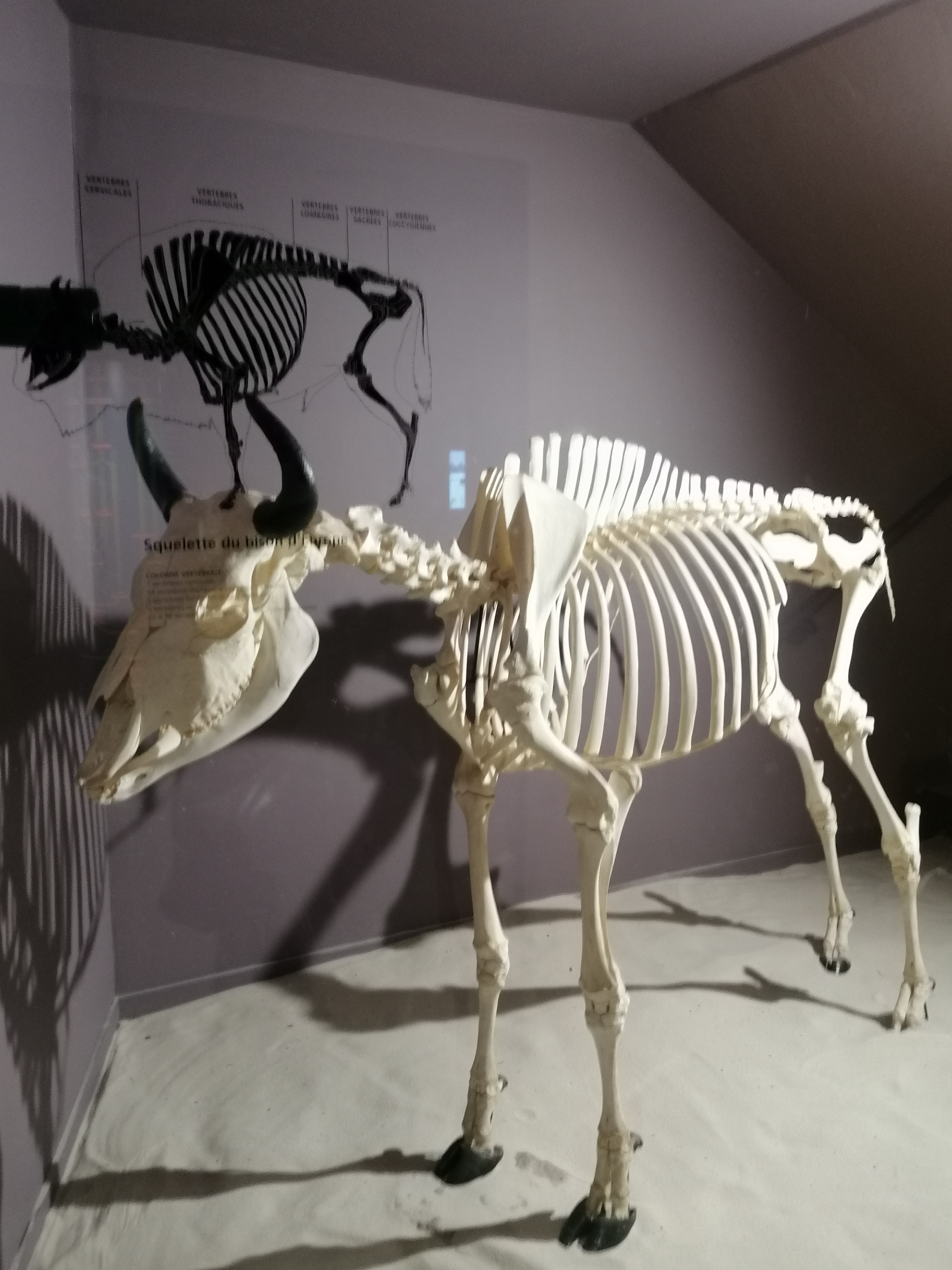 Photo n° 1 de l'avis de Yoann.e fait le 12/08/2022 à 13:06