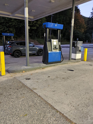 Gas Station «Sky Gas & Grocery», reviews and photos, 147 5th St N, Skykomish, WA 98288, USA