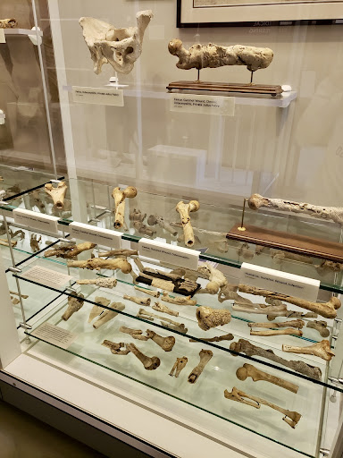 Museum «National Museum of Health and Medicine», reviews and photos, 2500 Linden Ln, Silver Spring, MD 20910, USA