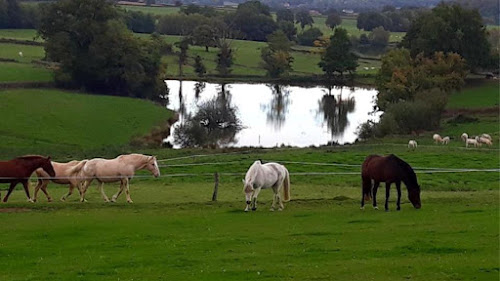 Magasin d'articles pour animaux Ranch du p'tit coin de paradis Curgy