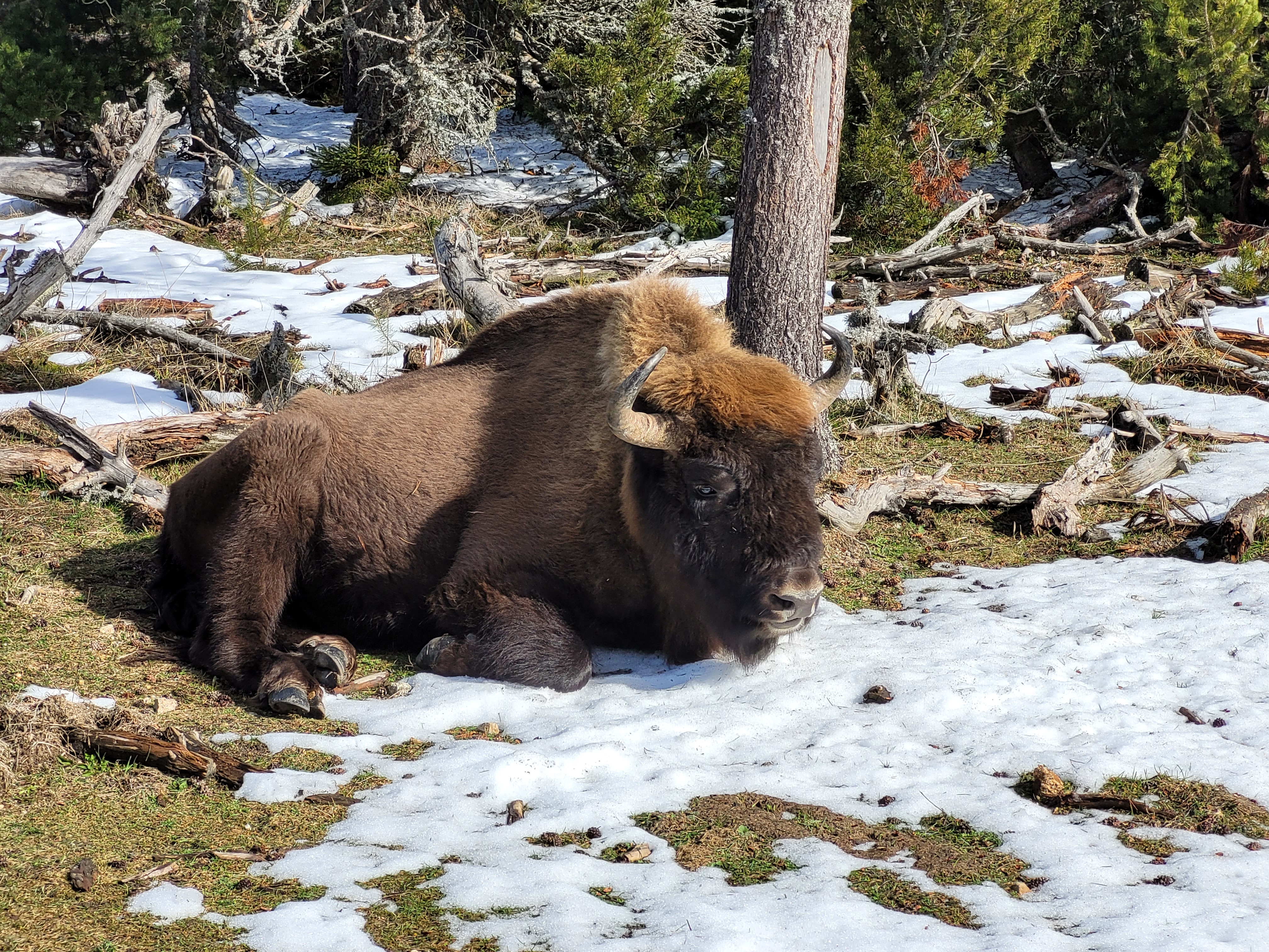 Photo n° 2 de l'avis de Marie.o fait le 19/02/2023 à 15:57
