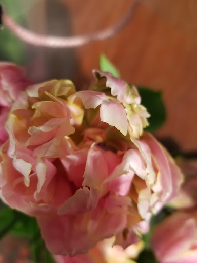 Supermarket «Giant Eagle Supermarket», reviews and photos, 111 W Madison St, Rochester, PA 15074, USA