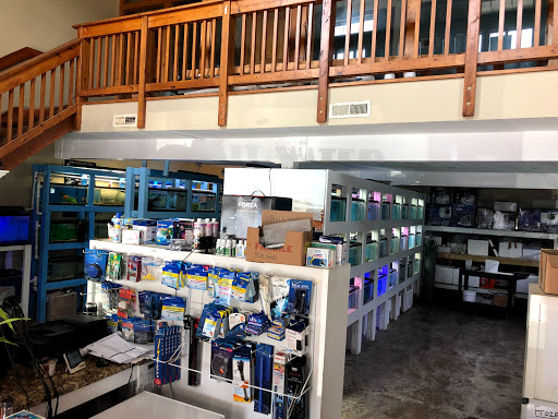 Pet Supply Store «Petes Fish Place», reviews and photos, 3 Pinewood Rd, Hartsdale, NY 10530, USA