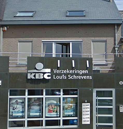 Beoordelingen van Verzekeringen Louis Schrevens NV - Lubbeek in Leuven - Verzekeringsagentschap