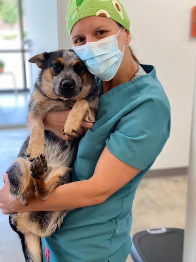 Meadowbrook Animal Hospital image