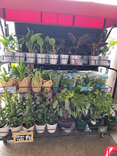 Trader Joes image